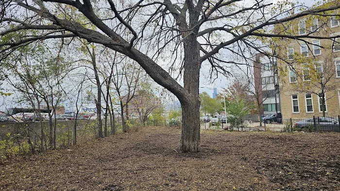 Park #536 4