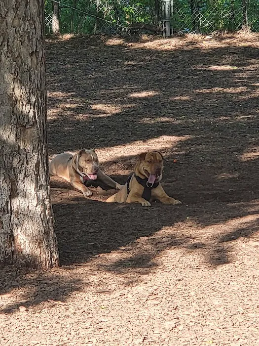 Park #536 6