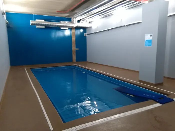 Doggy Paddle Aquatic Center For Dogs 1