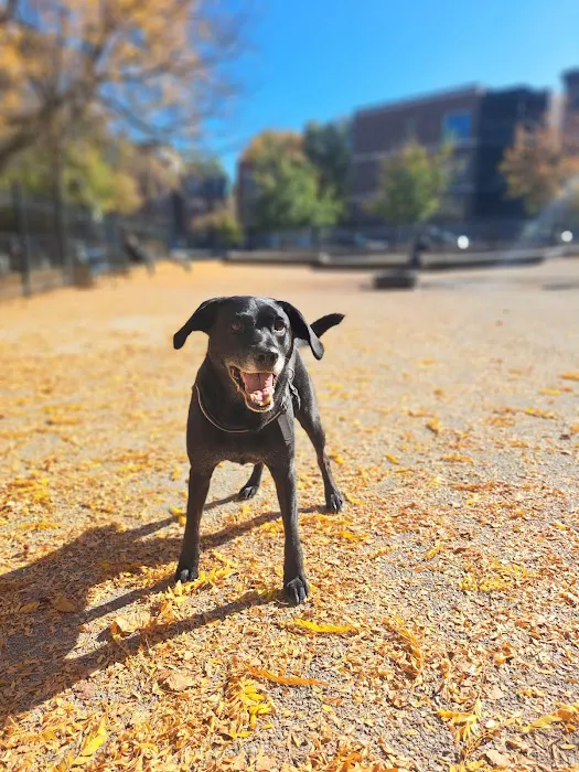 Wicker Park Dog Friendly Area 1