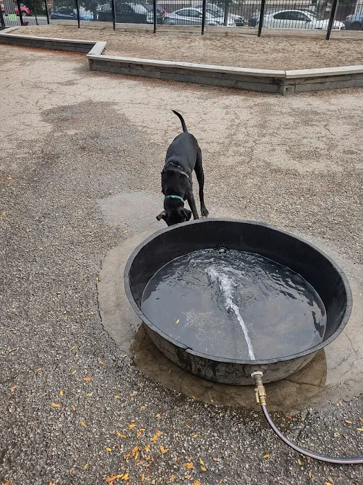 Wicker Park Dog Friendly Area 6