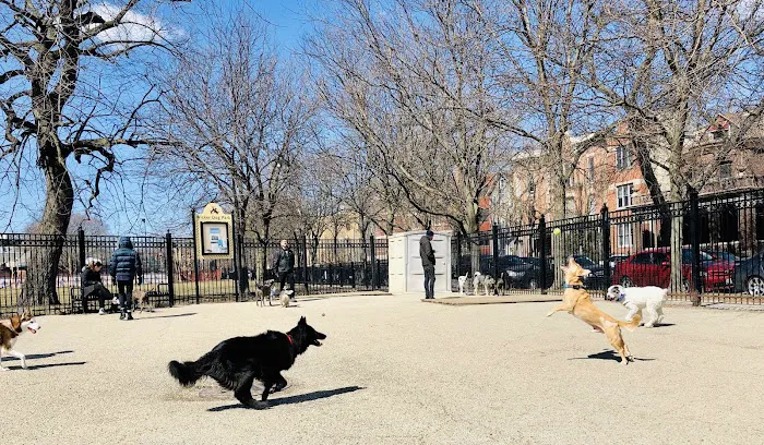 Wicker Park Dog Friendly Area 4