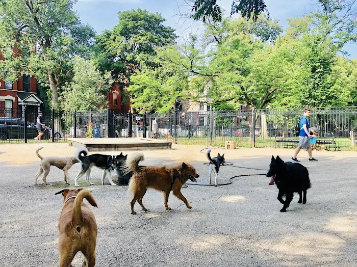 Wicker Park Dog Friendly Area 10