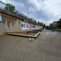 Churchill Park Dog Friendly Area ico