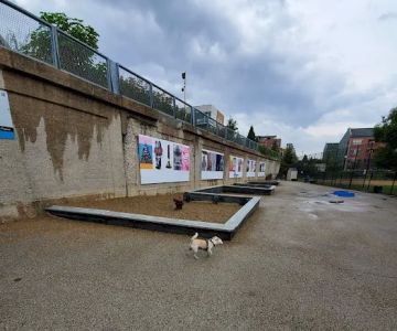 Churchill Park Dog Friendly Area
