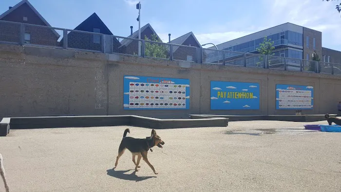 Churchill Park Dog Friendly Area 3