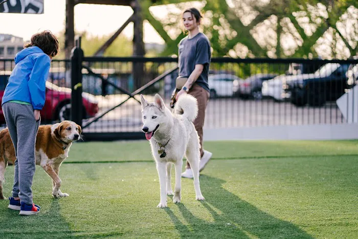 Pup Social 1
