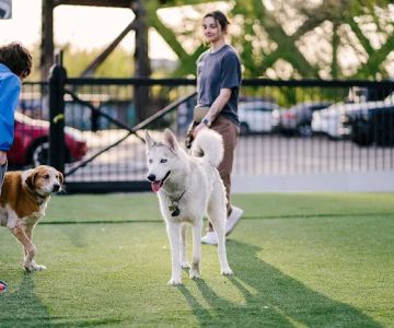 Pup Social