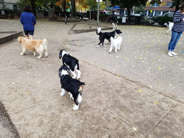 Wiggly Field Dog Park 1