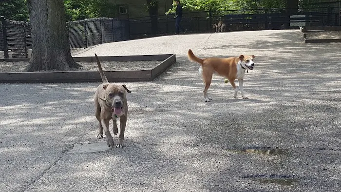 Wiggly Field Dog Park 3