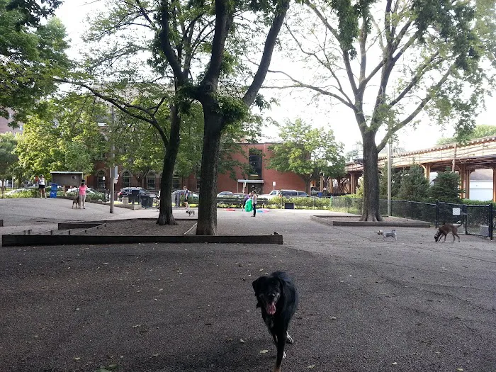 Wiggly Field Dog Park 5