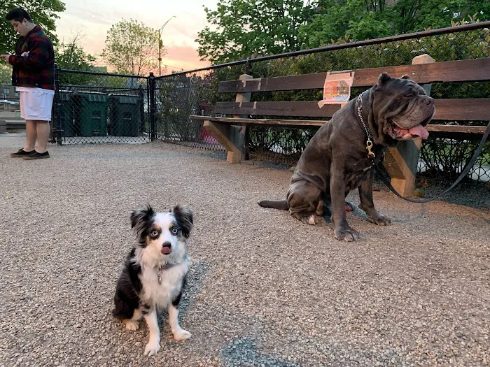 Wiggly Field Dog Park 7