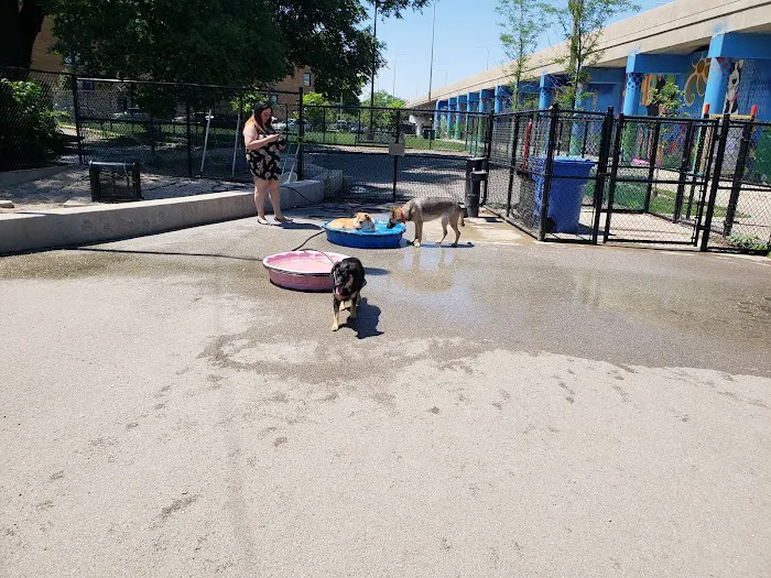 Logan Square Dog Park 5