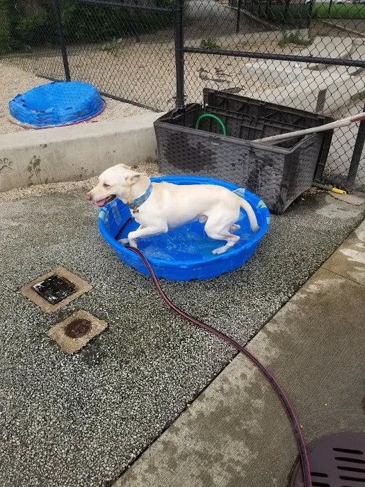 Logan Square Dog Park 1