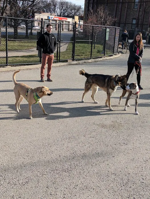 Logan Square Dog Park 3