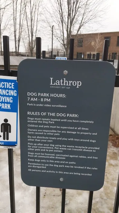Lathrop Dog Park 8