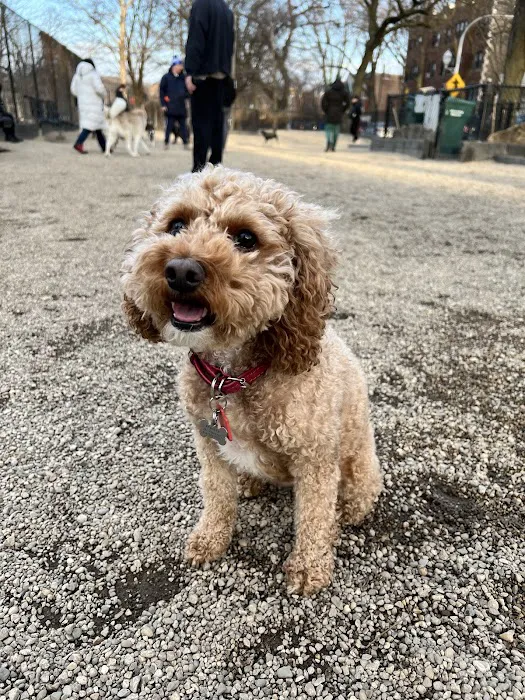 Hamlin Park Dog Friendly Area 1