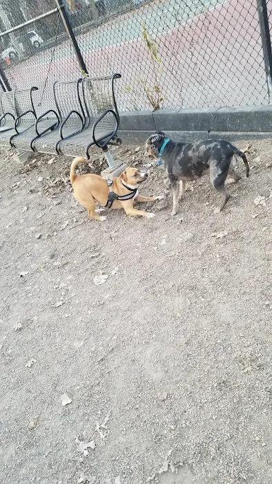 Hamlin Park Dog Friendly Area 2
