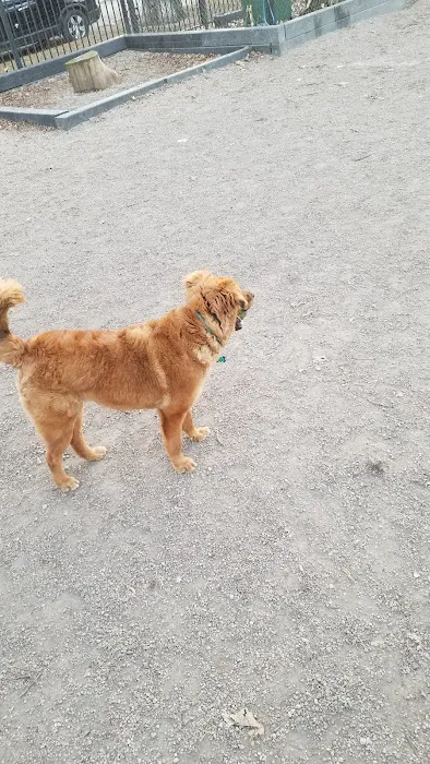 Hamlin Park Dog Friendly Area 5