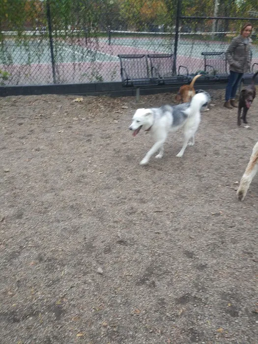 Hamlin Park Dog Friendly Area 6