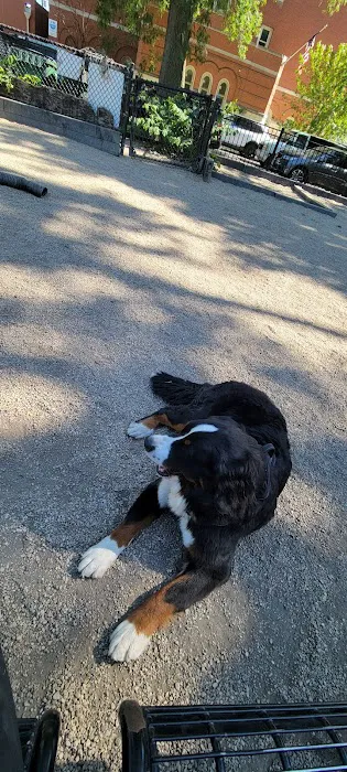 Hamlin Park Dog Friendly Area 4