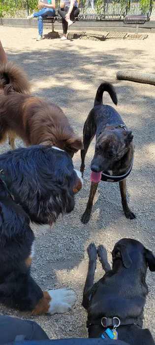 Hamlin Park Dog Friendly Area 3
