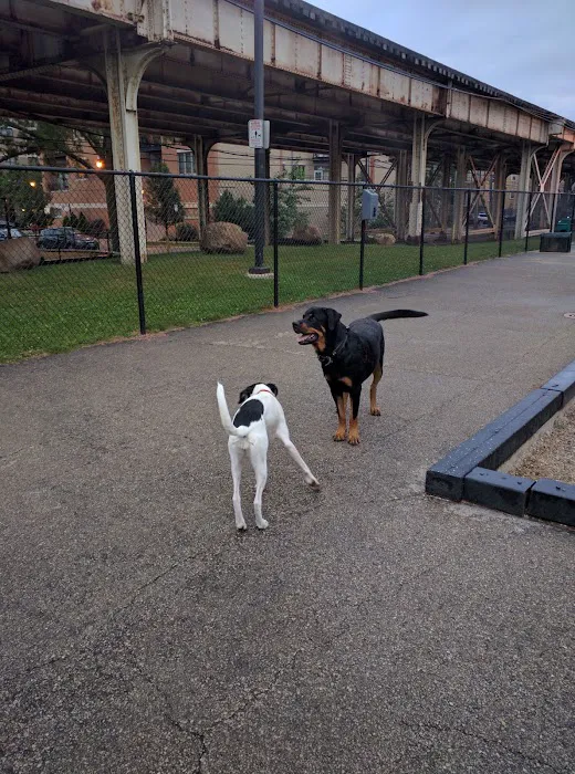 Challenger Dog Friendly Area 1