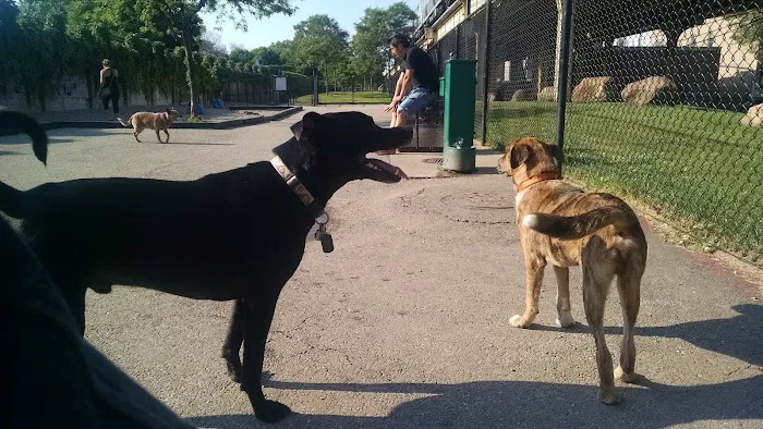 Challenger Dog Friendly Area 3
