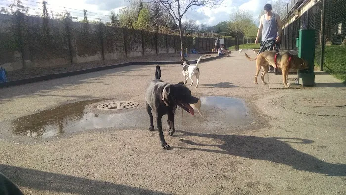 Challenger Dog Friendly Area 6