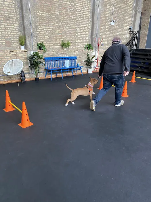 Bosly's Backyard 5