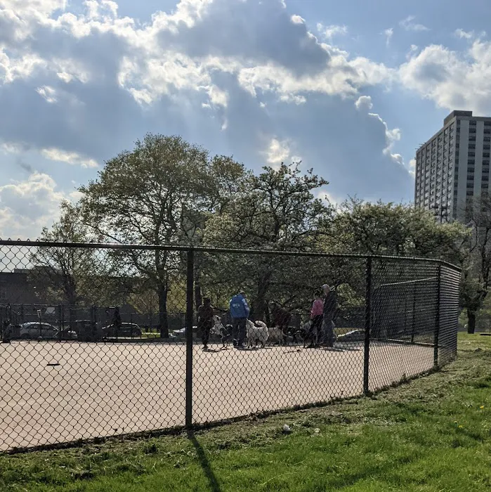 Clarendon Dog Friendly Area 2