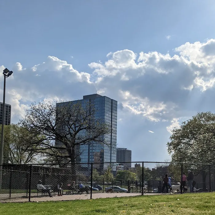 Clarendon Dog Friendly Area 4