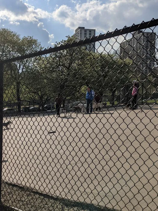 Clarendon Dog Friendly Area 1