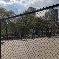 Clarendon Dog Friendly Area ico