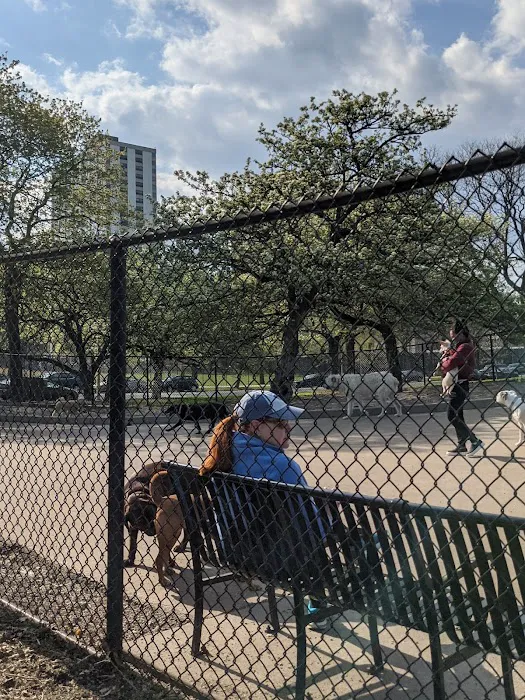Clarendon Dog Friendly Area 7