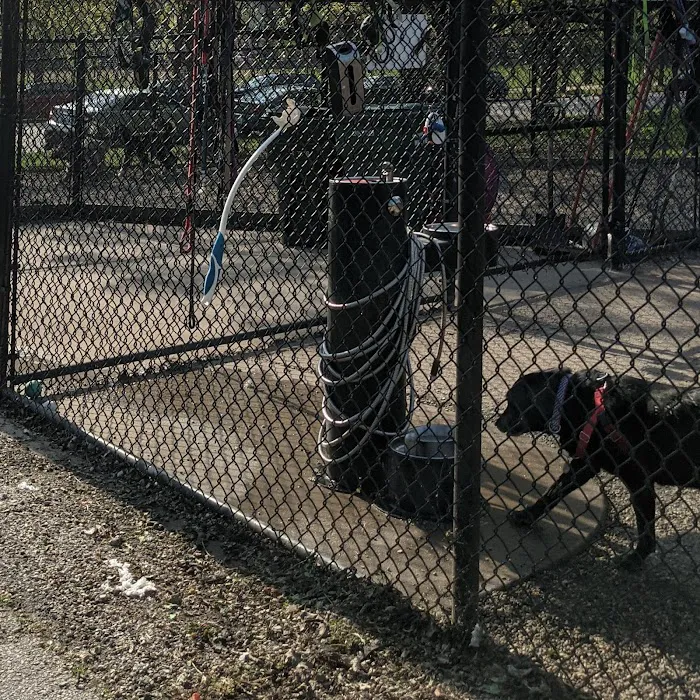 Clarendon Dog Friendly Area 3
