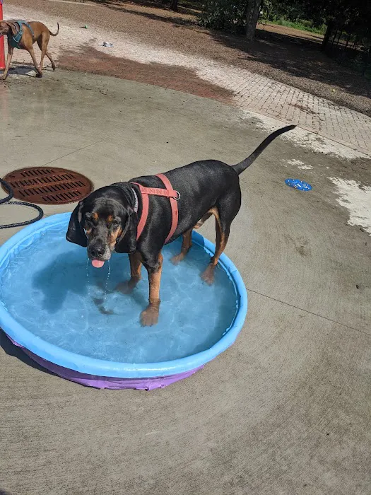 Horner Park Dog Park 10