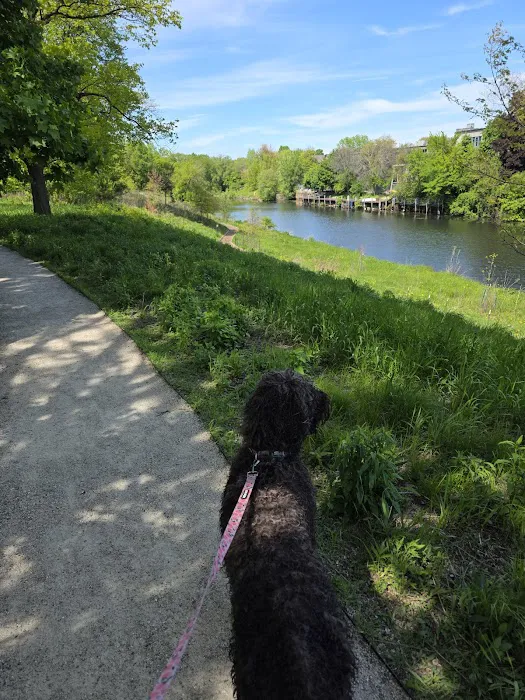 Horner Park Dog Park 6