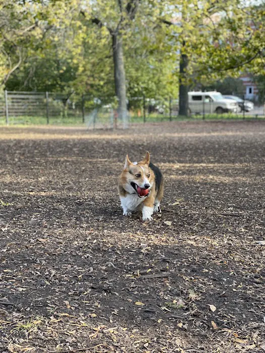 Horner Park Dog Park 7