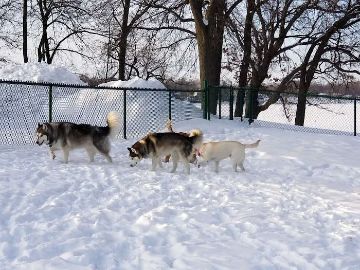 Horner Park Dog Park 8
