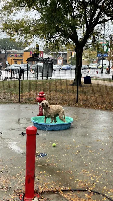Horner Park Dog Park 4