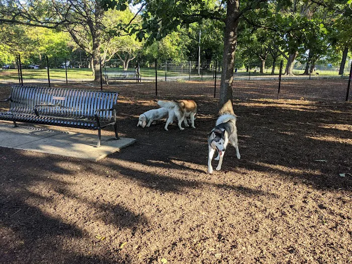 Horner Park Dog Park 3