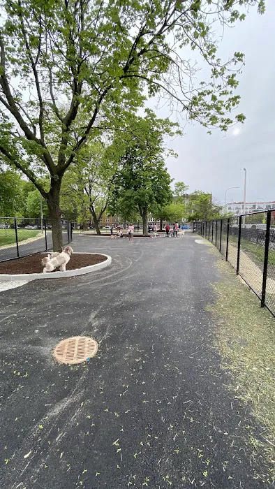 Kosciuszko Park Dog Park 7