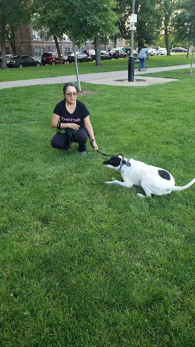 Kosciuszko Park Dog Park 1