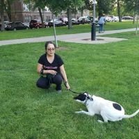 Kosciuszko Park Dog Park ico