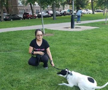 Kosciuszko Park Dog Park