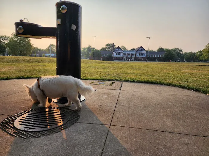 Kosciuszko Park Dog Park 8