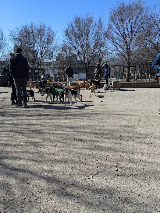 Margate Park Puptown Dog Park 3