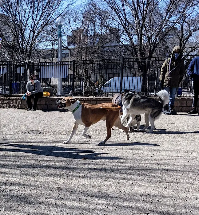 Margate Park Puptown Dog Park 5