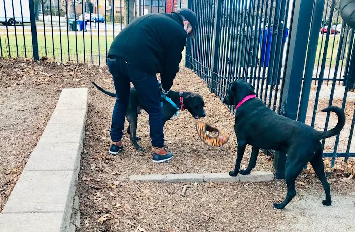 Margate Park Puptown Dog Park 1